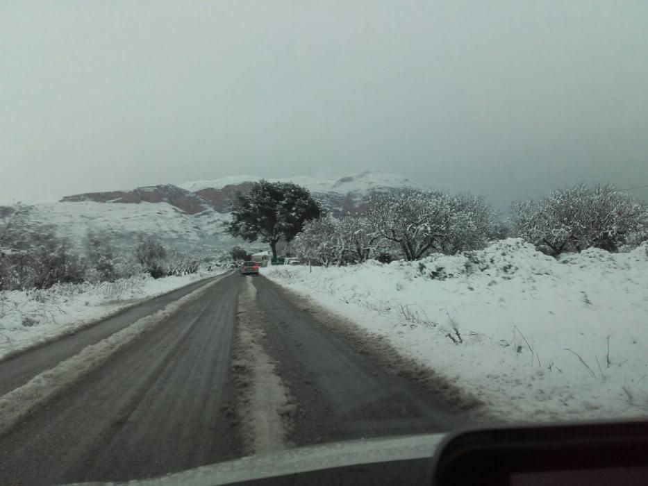 Playas nevadas en la Vega Baja