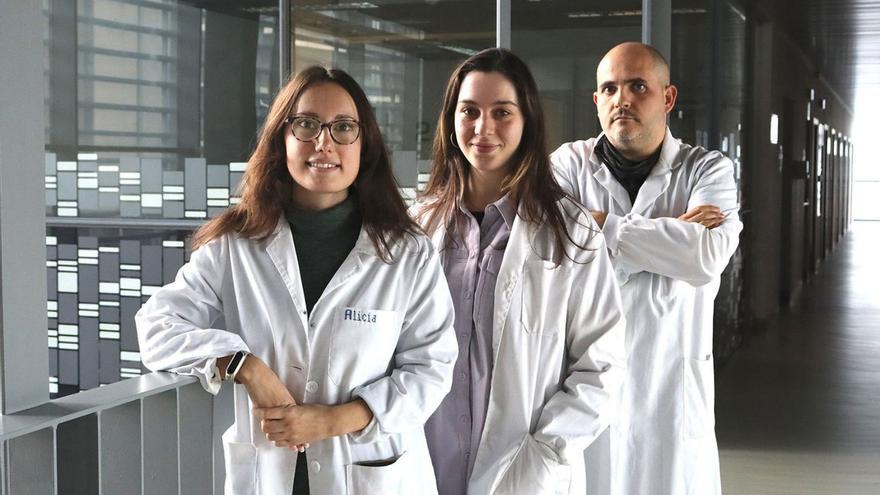 Investigadores gallegos invitan al micromecenazgo para buscar nuevas terapias para la calcificación vascular