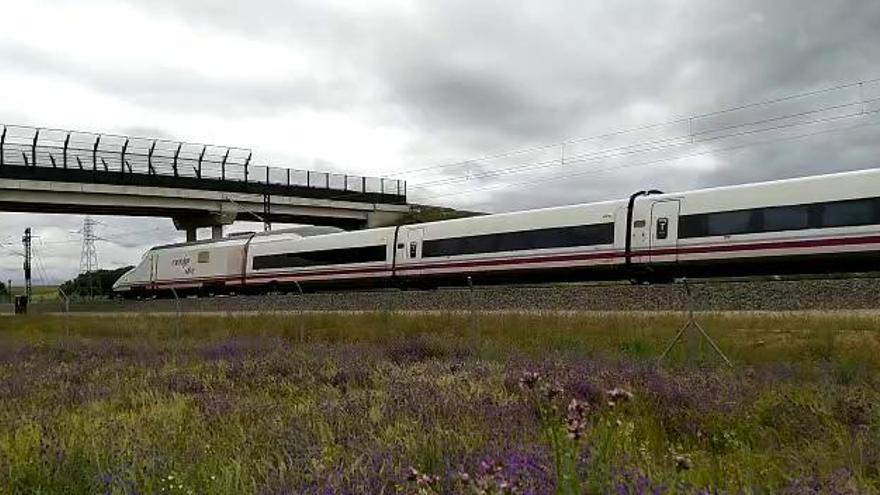 Comienzan las pruebas a máxima velocidad en el tramo de AVE Zamora-Pedralba