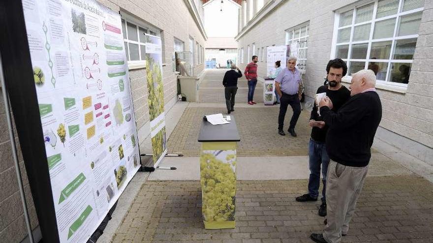 Puestos en la Central Agropecuaria sobre la acacia y frutos del bosque  |  Al igual que el pasado día 3 en la feria de Lalín, la Federación Galega de Medio Ambiente y la Asociación Sectorial Forestal Galega visitaron con sus stands la subasta de ganado de Silleda, en la Central Agropecuaria. Los técnicos de las dos entidades informaron a los visitantes sobre las medidas para controlar la expansión de las acacias, una especie invasora, así como para fomentar el cultivo sostenible de frutos del bosque en tierras abandonadas.