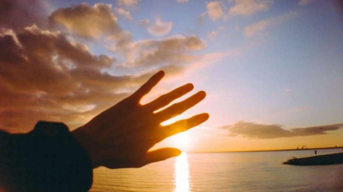 La forma de la mano humana podría contener señales de nuestra historia evolutiva.