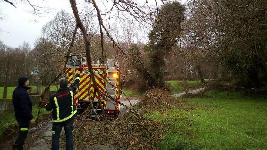 El retén de bomberos retira la rama caida sobre el vial, que quedó prácticamente inutilizado para el tráfico rodado.