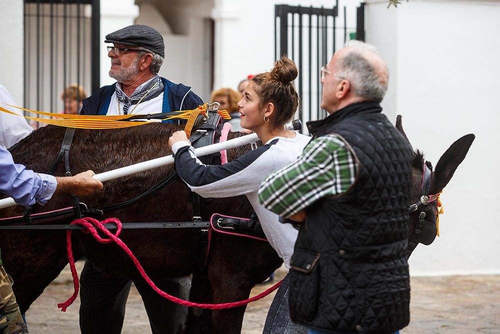 Romería de El Rocío en Sant Antoni