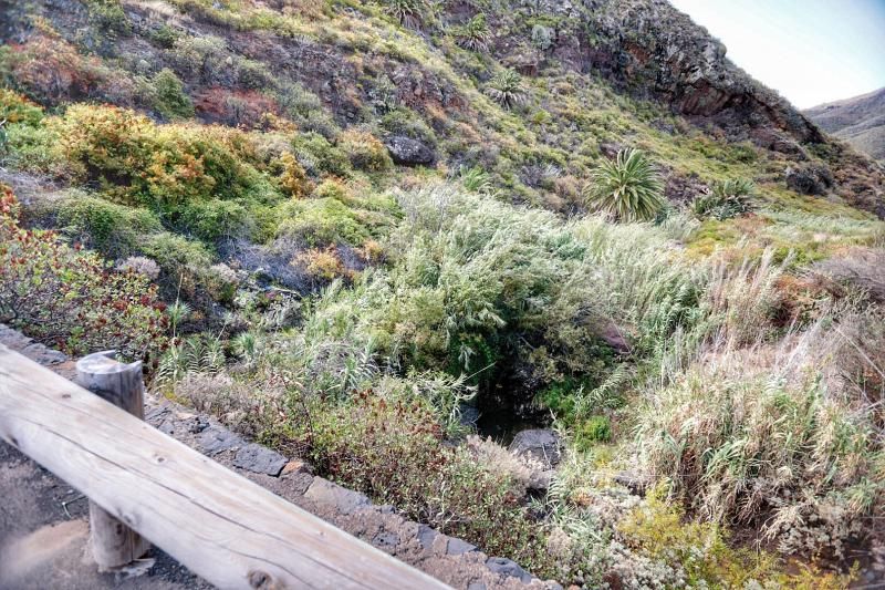 El puente Camurro, de El Cercado (San Andrés), 8 años en el olvido