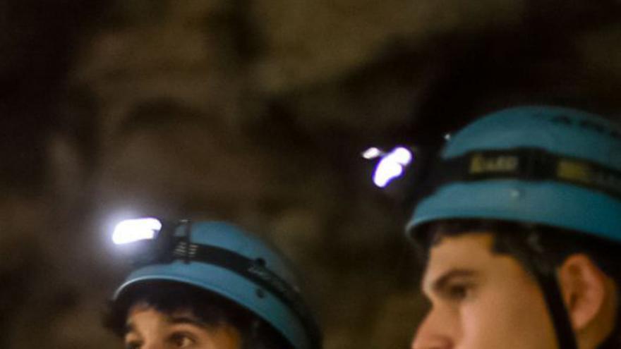 Varios momentos de la visita de los estudiantes del colegio lisboeta a Asturias. | C | EDIDAS A LNE