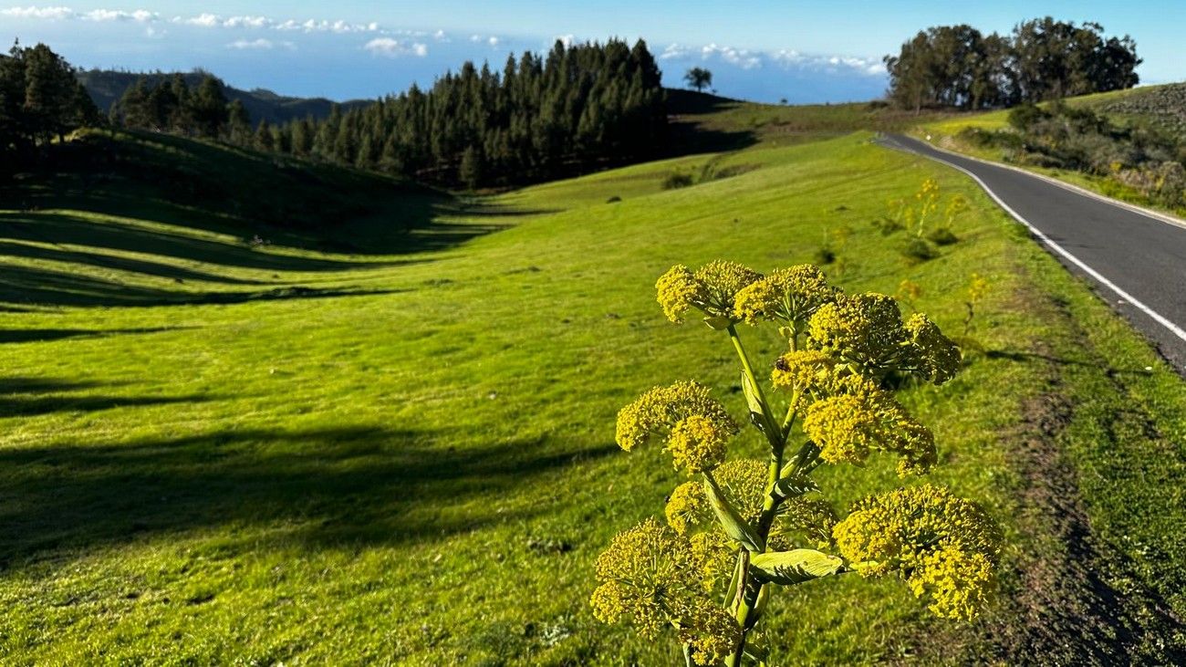 Tiempo en Canarias: paisajes norte de Gran Canaria (Fontanales-Gáldar)