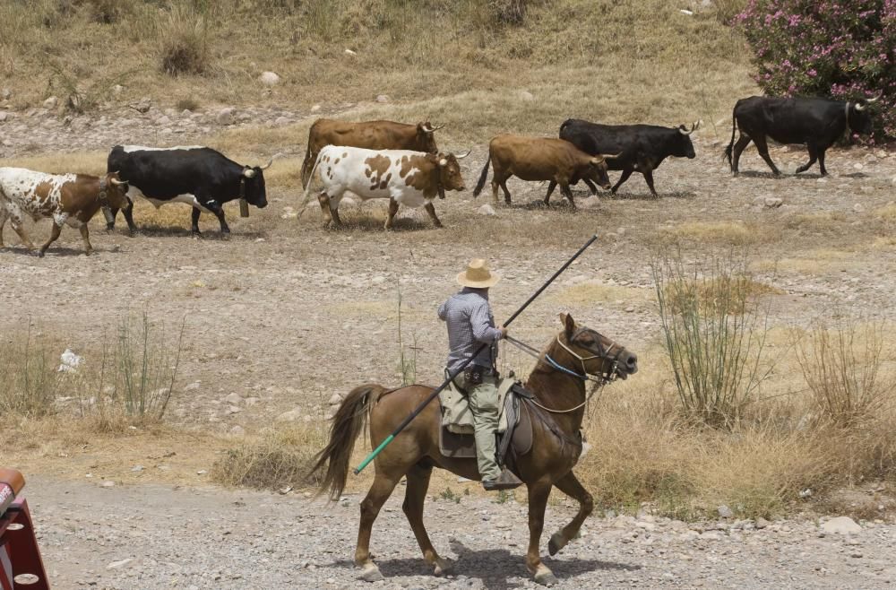 Fiestas de Sagunto. Recinto taurino.