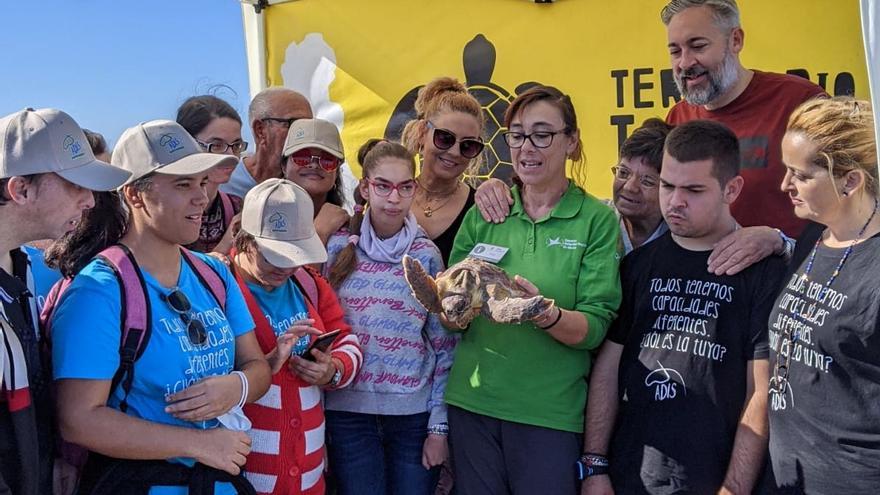 Liberación de una tortuga boba en San Javier.