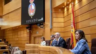 PP y Vox se blindan solo en Pontevedra ante la alianza de la izquierda al Senado, ¿por qué?