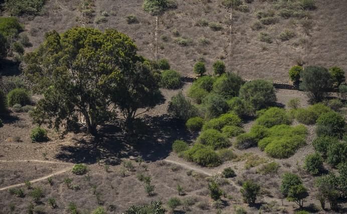 LAS PALMAS DE GRAN CANARIA A26/05/2017. Sendero de la ciudad de LPGC. Ruta Caldera de Bandada. FOTO: J.PÉREZ CURBELO