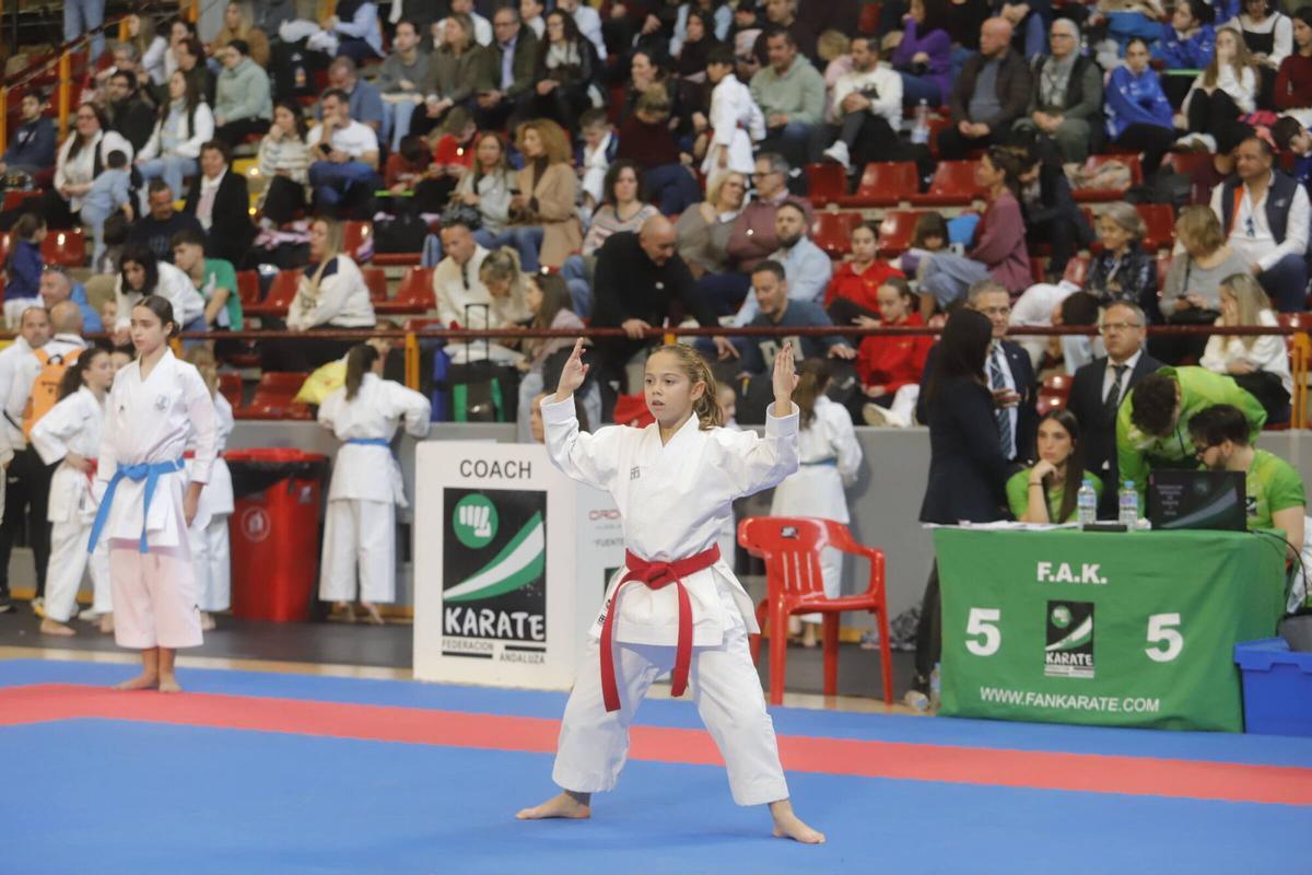 El Campeonato de Andalucía infantil de karate, en imágenes