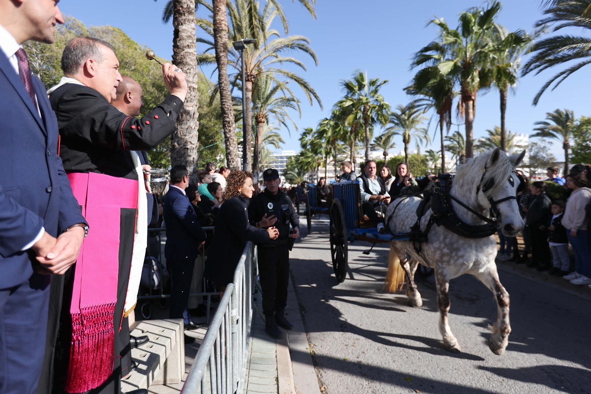 Todas las imágenes de la bendición de animales y el día grande de las fiestas de Sant Antoni