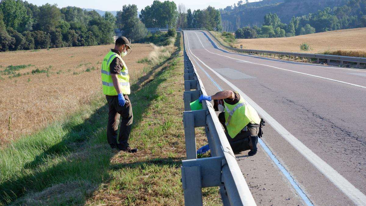 Recollida de burilles al tram de la B-431 en estudi