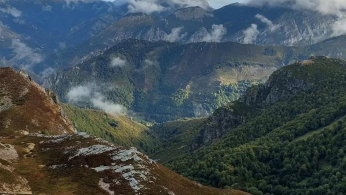 Monte Redes