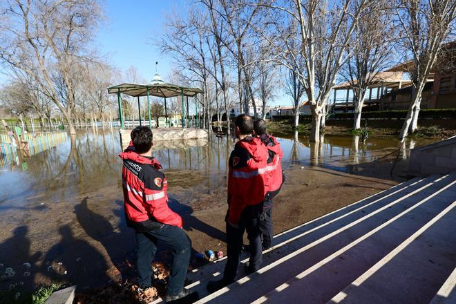 En imágenes | Así trabajan la UME, Protección Civil y los Bomberos en los terrenos afectados por la riada del Ebro