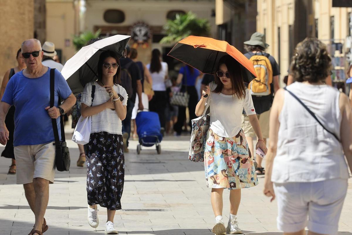 La Agencia Estatal de Meteorología (Aemet) ha activado avisos en gran parte de la Comunitat Valenciana de cara a los próximos días.