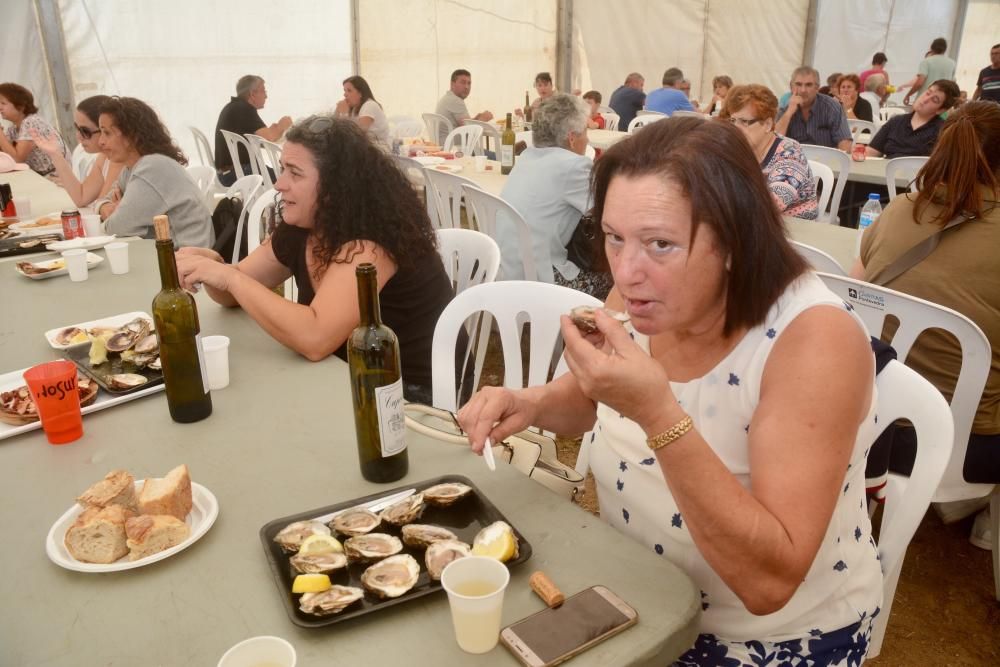 Fiestas gastronómicas en Pontevedra | Noalla se rinde al encanto de ostra