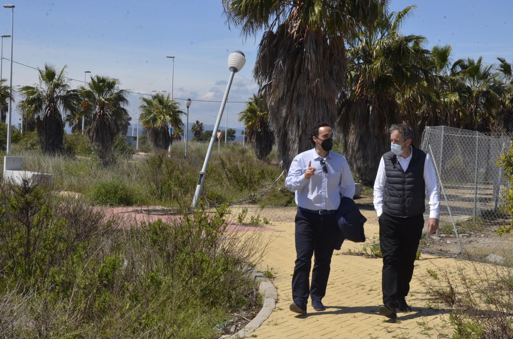 El PAI Belcaire Sur de Moncofa, una urbanización abandonada y habitada solo por la maleza