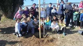 Los escolares crean una nueva zona verde en Binissalem