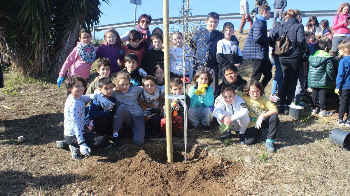 Un grupo de escolares junto a uno de los árboles plantados en Binissalem.