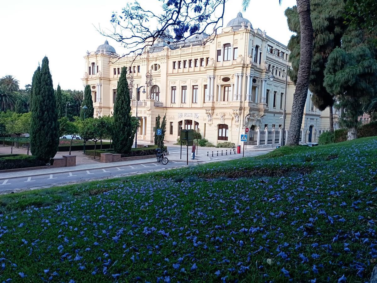 La bandera de Málaga, frente al Ayuntamiento.