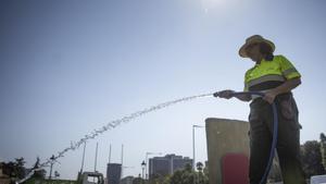 Els jardiners exigeixen continuar regant per salvar les zones verdes