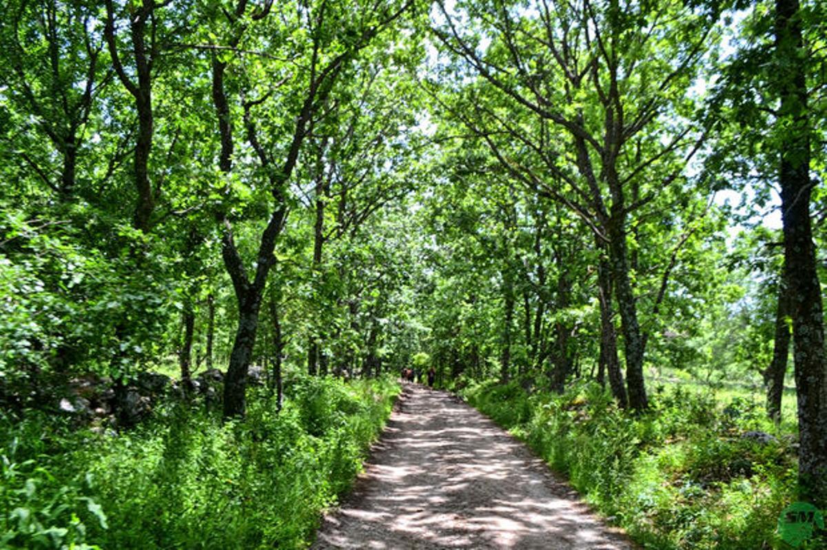 Navarredonda y San Mamés ofrece rutas de lo más pintorescas si quieres hacer senderismo