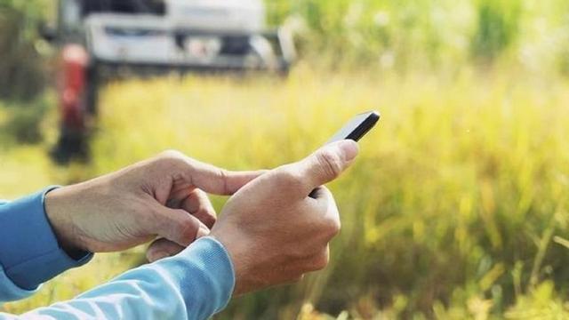 Un hombre consulta su smartphone en una zona rural. | Cedida