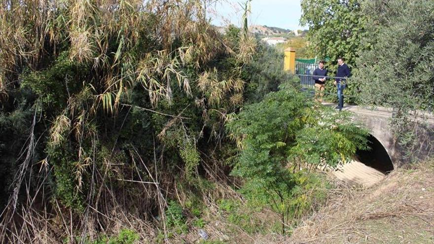 El Ayuntamiento inicia la limpieza de arroyos que cruzan el casco urbano