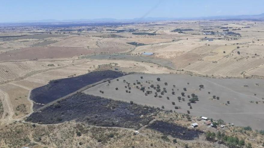 Controlado el incendio forestal en Pozoblanco tras arrasar unas 10 hectáreas de terreno