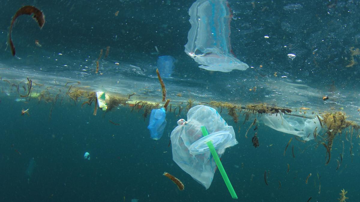 Bolsas de plástico y pajitas en el océano.