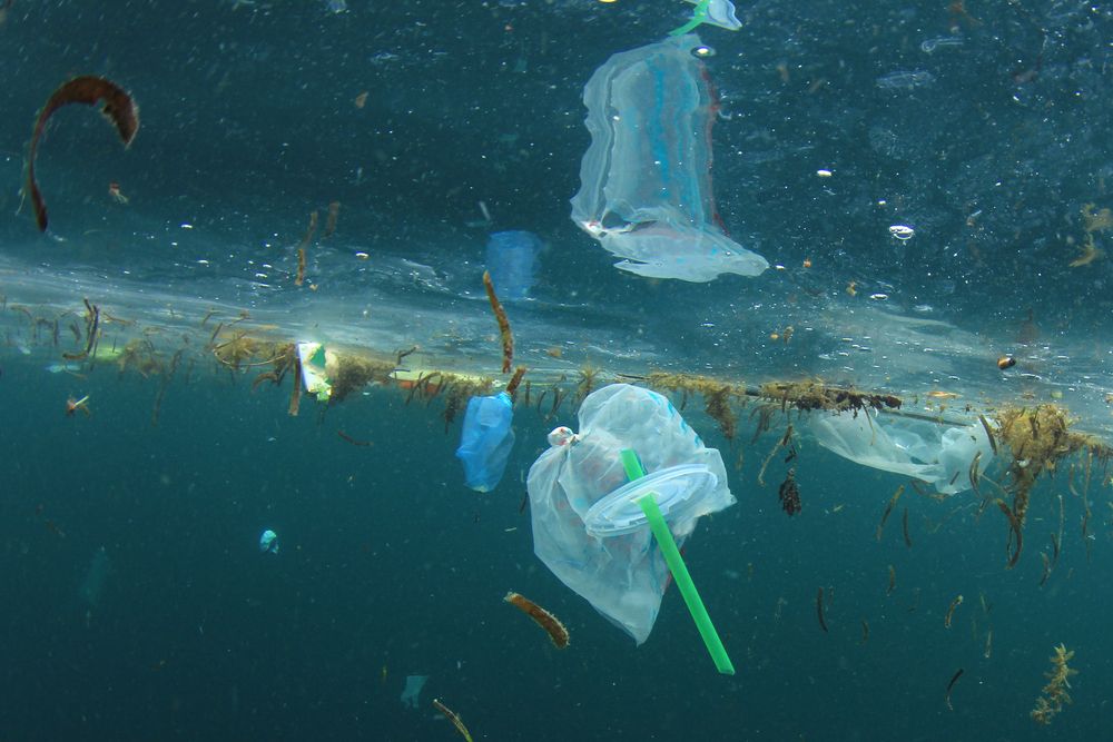 Bolsas de plástico y pajitas en el océano.