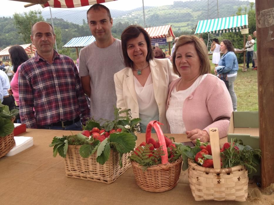 Festival de la fresa en Candamo