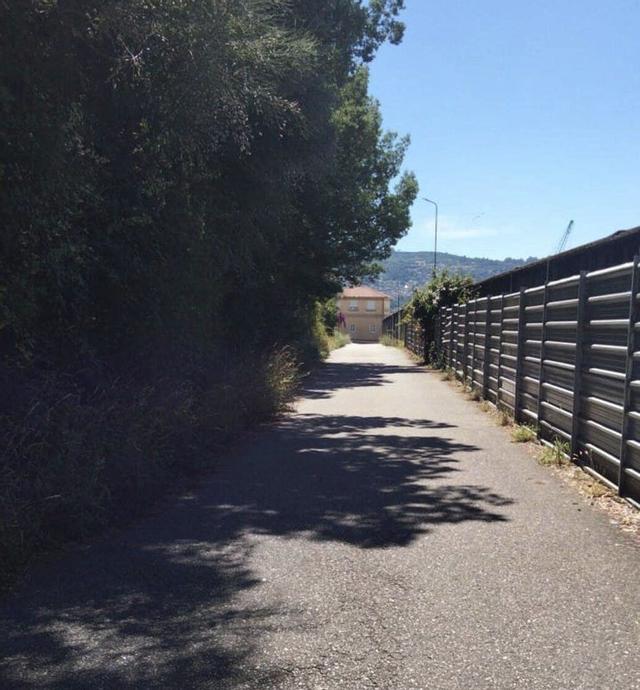 Maleza que invade el vial de O Latón por detrás de Rodman.