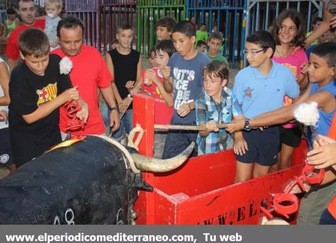 LOS 'BOUS ALTERNATIUS' TRIUNFAN EN ALCALÀ