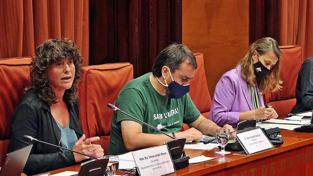 Teresa Jordà, durant la seva compareixença al Parlament.  | EUROPA PRESS