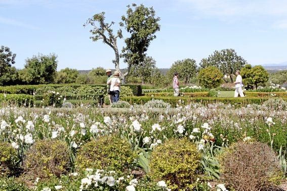 Gartenarchitektin Andi Lechte zeigt einer Reisegruppe ein Anwesen bei Santanyí. Der Entwurf stammt aus ihrer Feder.