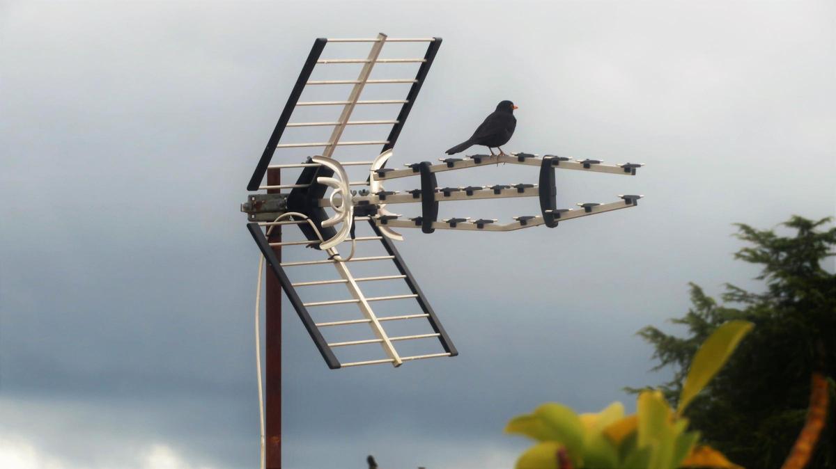 La interferencia suele afectar a quienes reciben la TDT a través de antenas