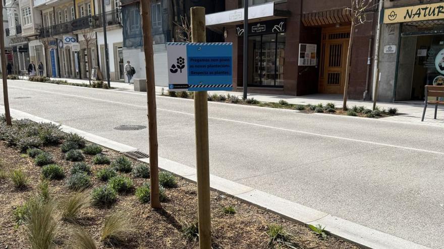 Carteles en San Andrés para que no se pisen las plantas | LOC