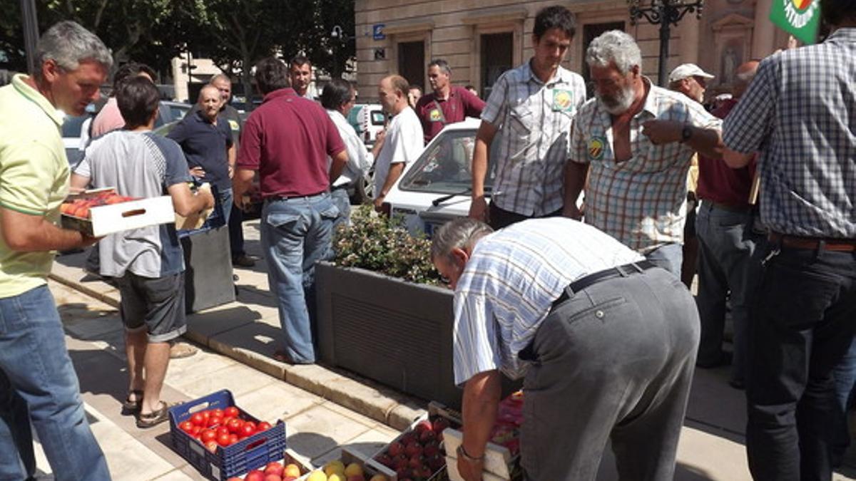 Una treintena de agricultores protestan ante la subdelegación del Gobierno en Lleida contra el boicot de los productores franceses a la fruta española.