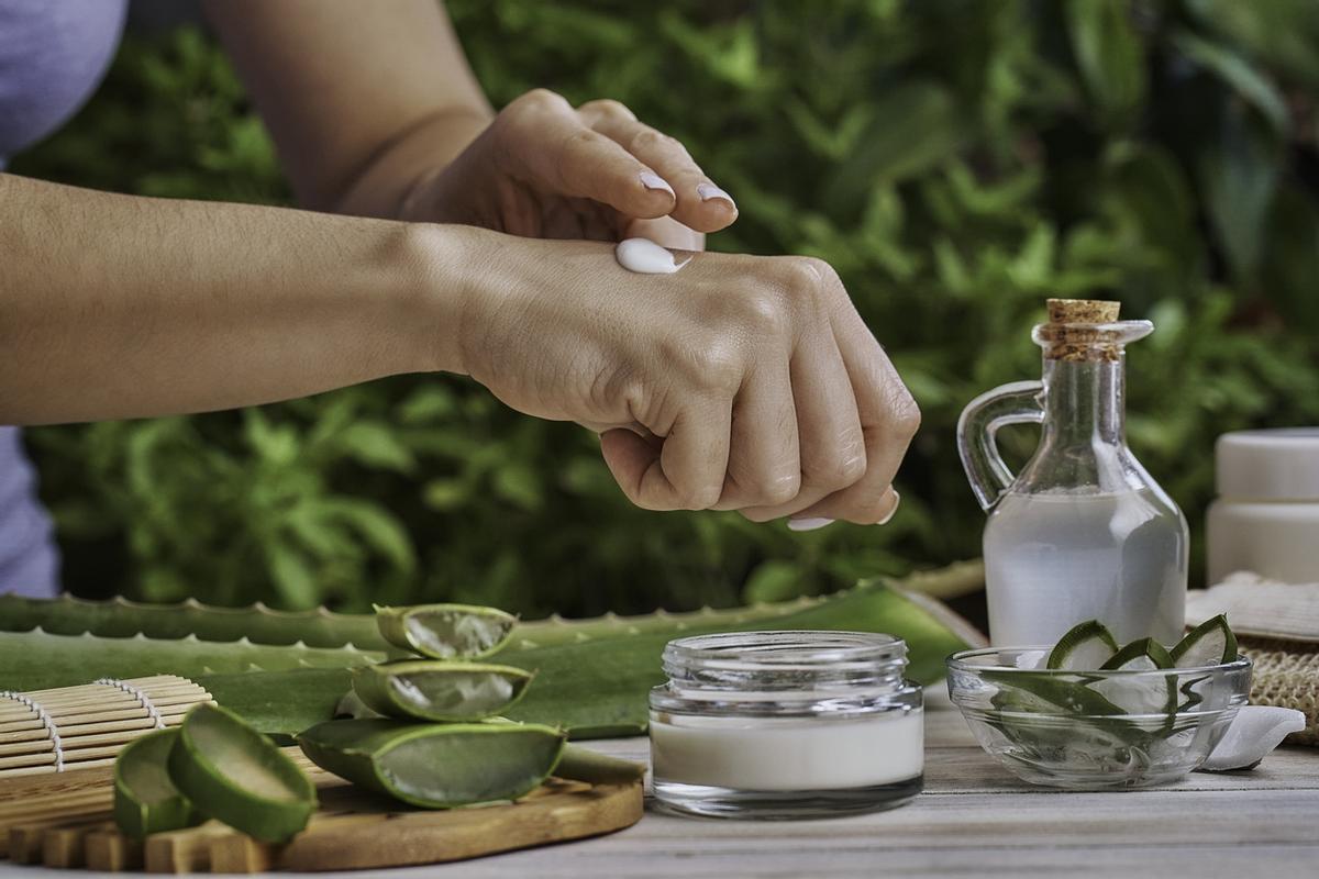 El aloe vera es un básico para hidratar y reparar la piel