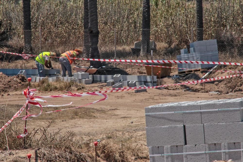 Un muro cierra el palmeral de Ferrís en Torrevieja