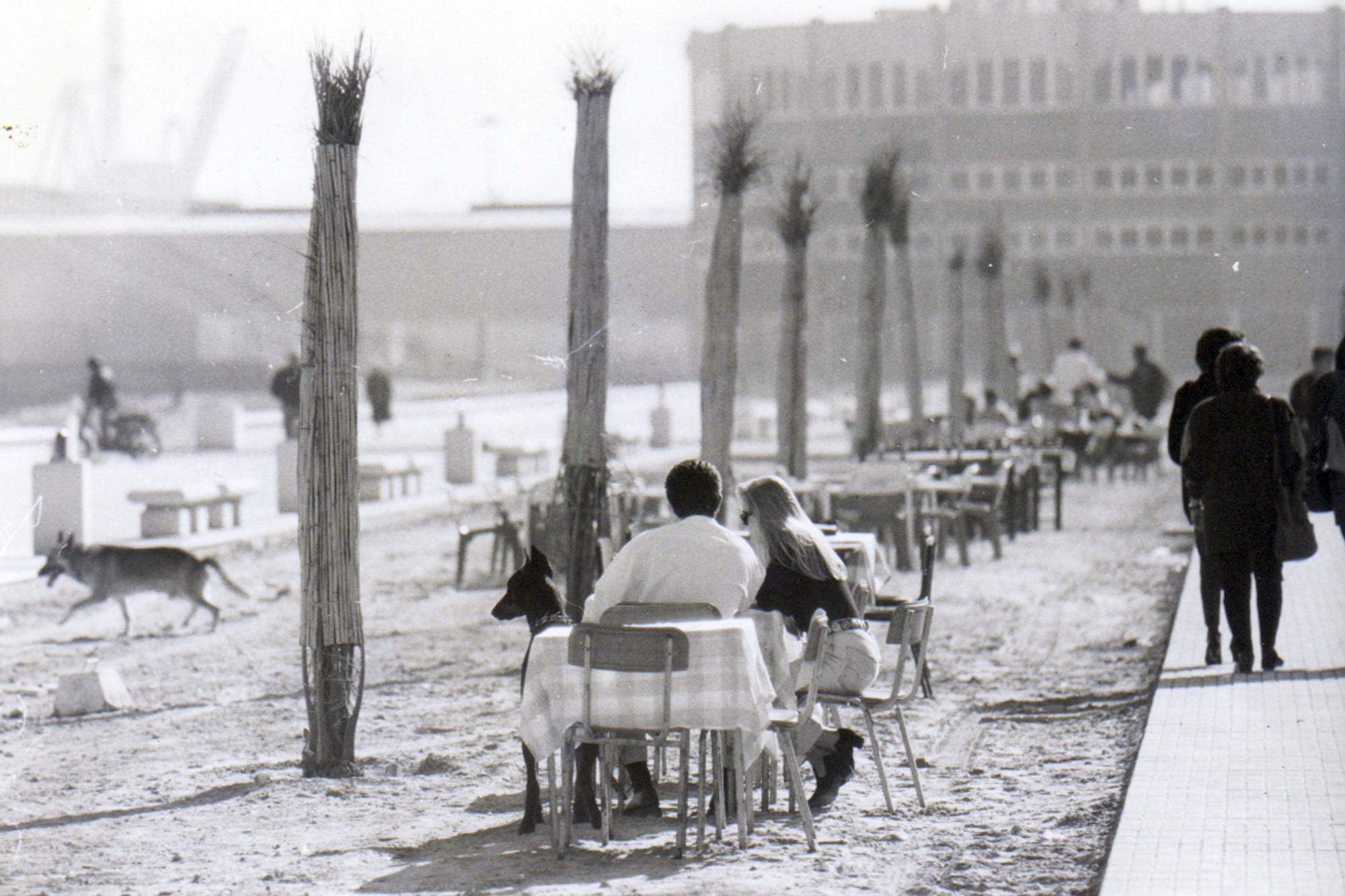 Un paseo por los chiringuitos "de toda la vida" de València y Alboraia