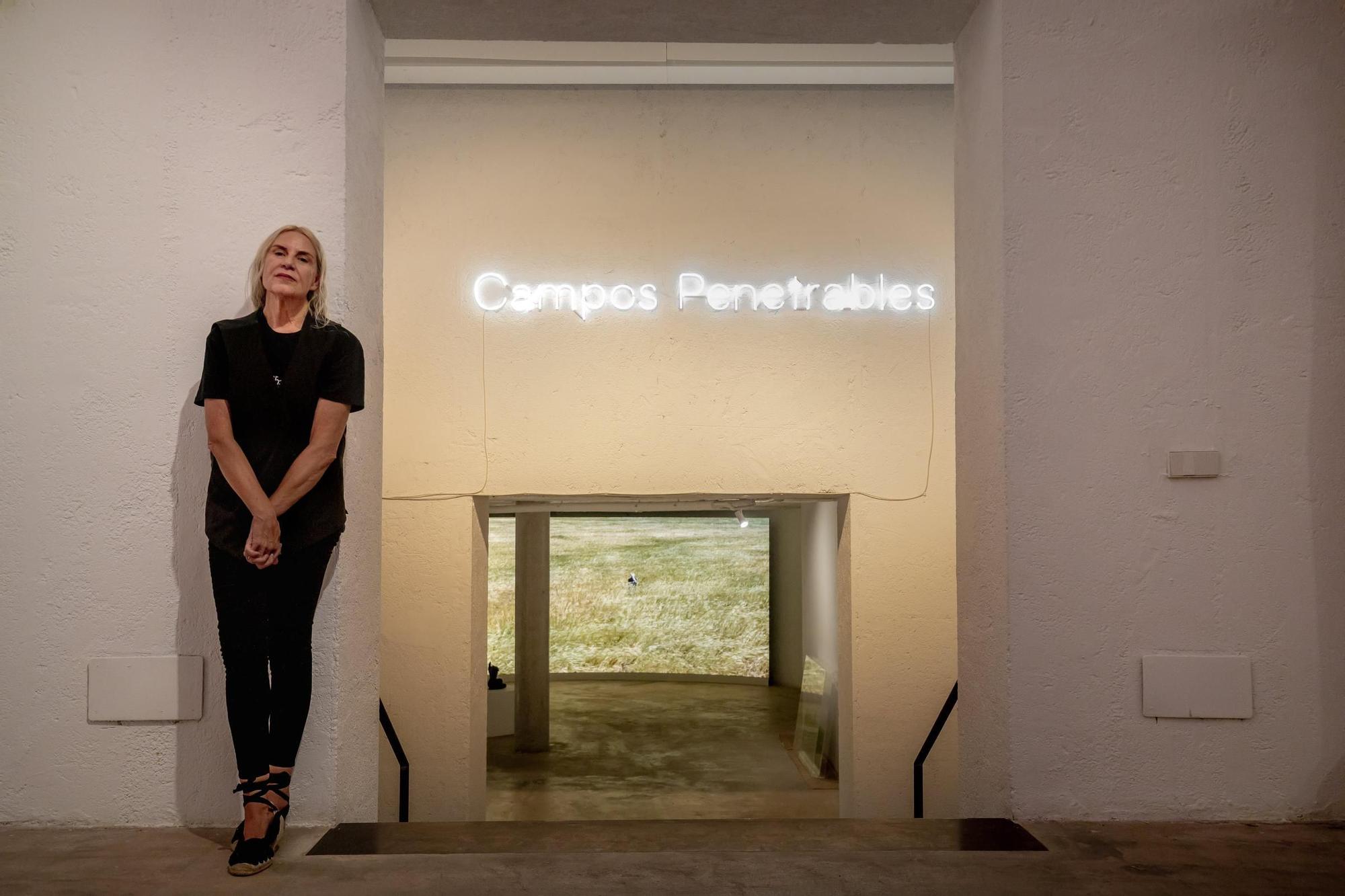 Susy Gómez expone 'Campos penetrables' en la galería Baró