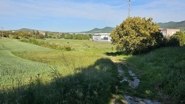 Iruña de Oca.