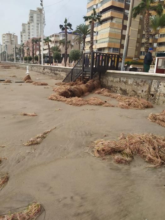 Daños por el temporal en El Campello