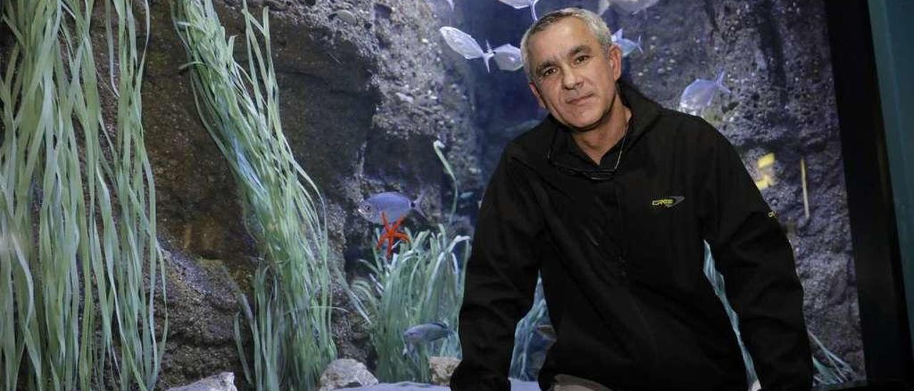 Jorge Candán, ayer, en el Acuario de Gijón.