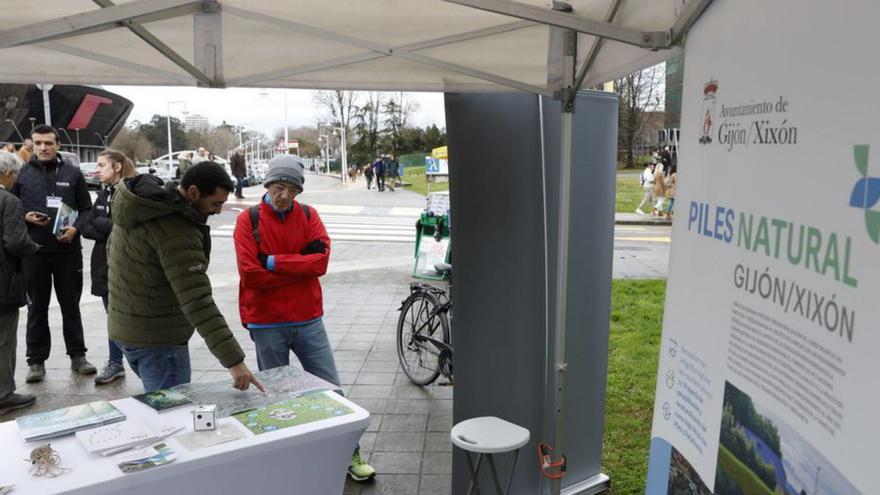 "Piles natural" muestra la biodiversidad del río | ÁNGEL GONZÁLEZ