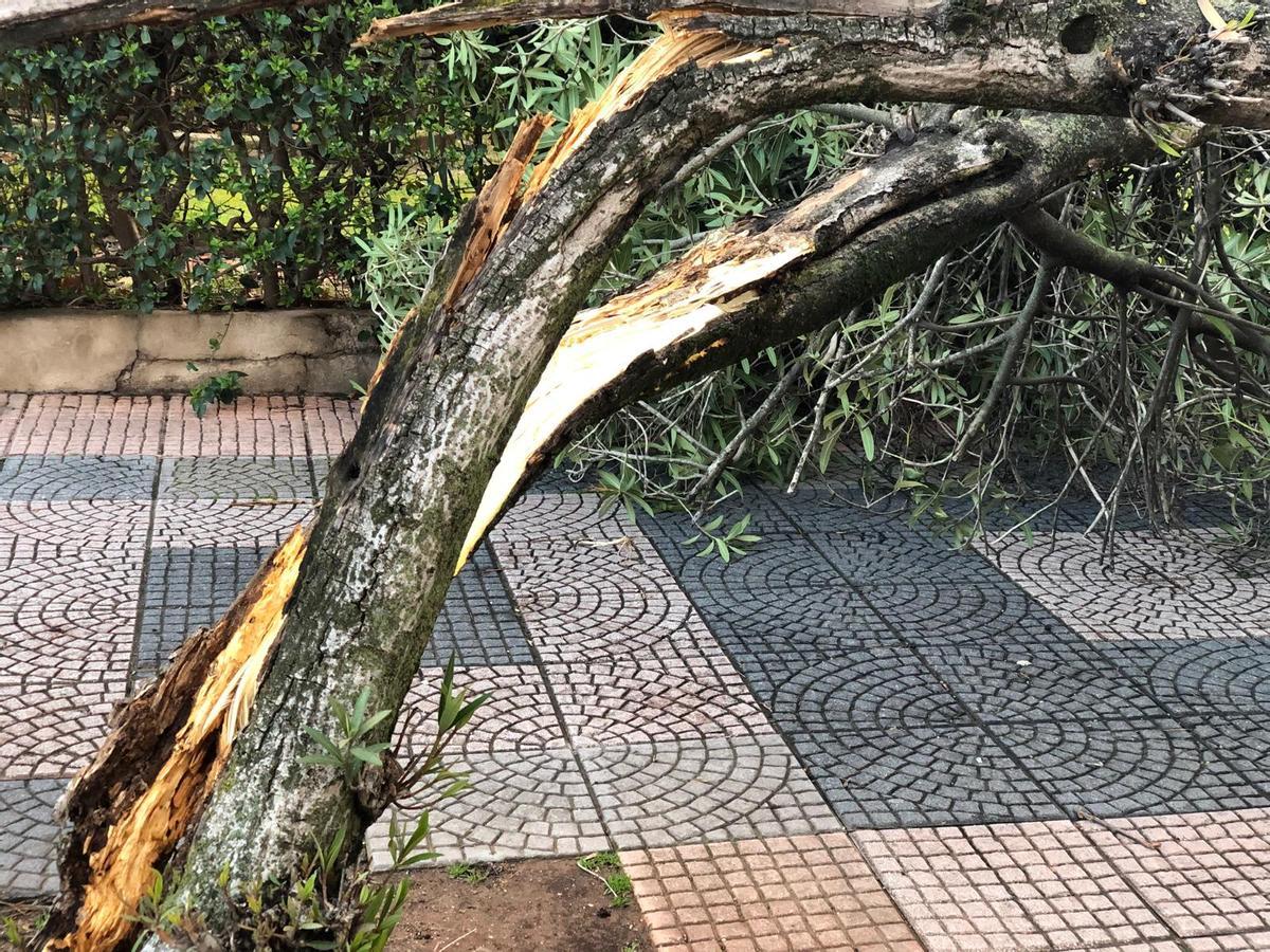 Un muro se desploma en el Instituto El Brocense