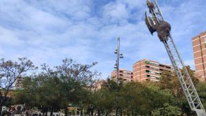 Nido gigante de cotorras y palomas en una farola de la plaza de la Palmera.